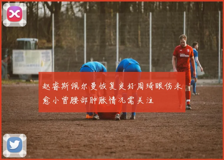 赵睿斯佩尔曼恢复良好周琦眼伤未愈小曾腰部肿胀情况需关注