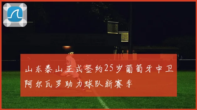 山东泰山正式签约25岁葡萄牙中卫阿尔瓦罗助力球队新赛季
