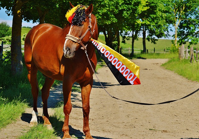 数据背后的 数据背后的