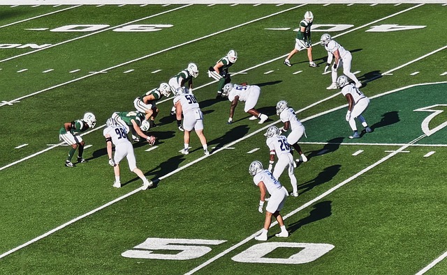 增加了不少 增加了不少