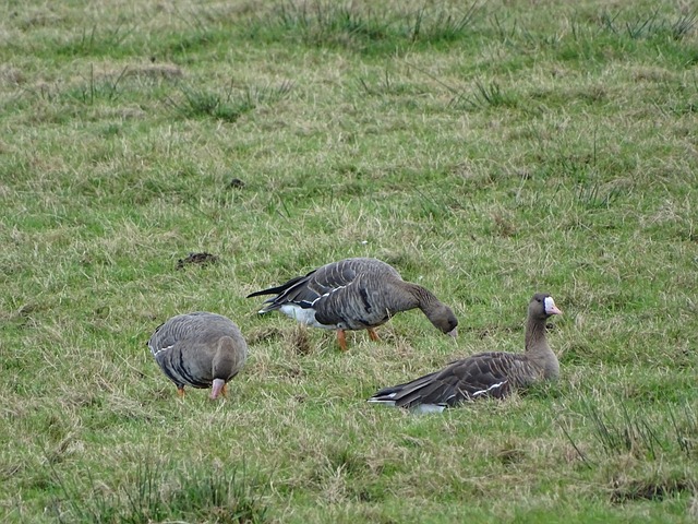 保持了超过 保持了超过