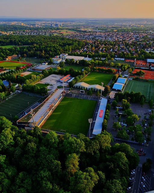 在过去的一 在过去的一