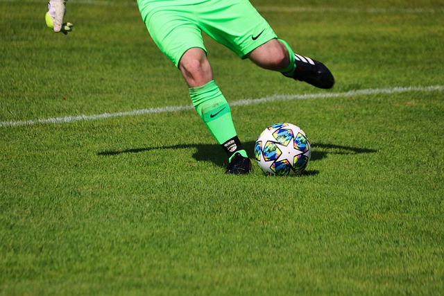 布魯諾總能 布魯諾總能